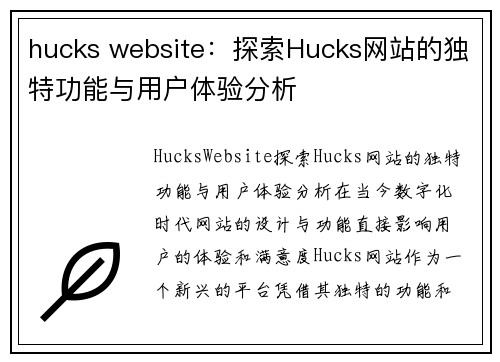 hucks website：探索Hucks网站的独特功能与用户体验分析